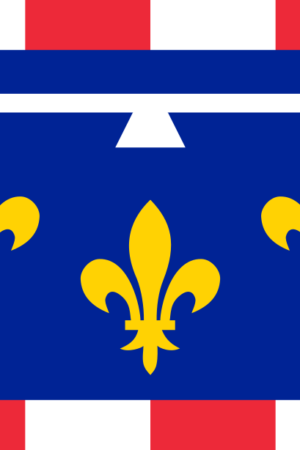 Drapeau du Centre 90×150