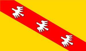 Drapeau de Lorraine 90×150