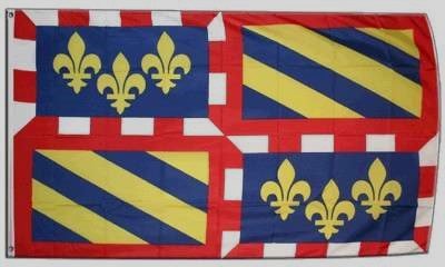 Drapeau de Bourgogne 90X150