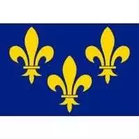 Drapeau fleur de lys Ile de France 90×150