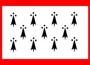 Drapeau du Limousin 90×150