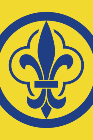 Drapeau d’AF jaune