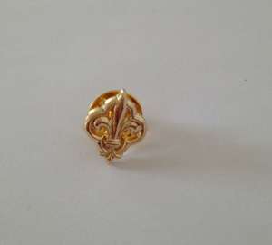 Pins fleur de lys doré