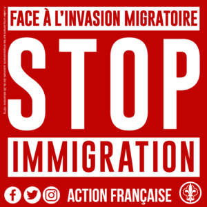 Stop immigration – 50 exemplaires