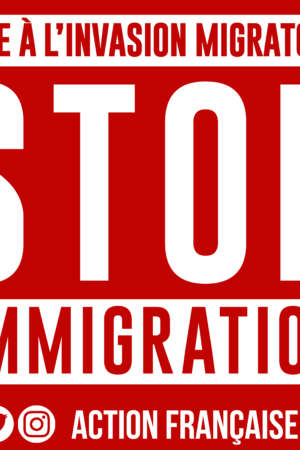 Stop immigration – 50 exemplaires