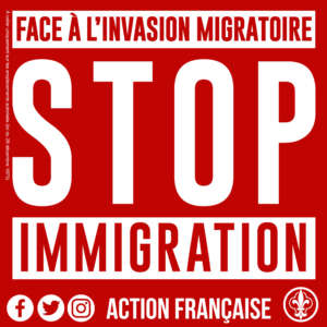 Stop immigration – 50 exemplaires