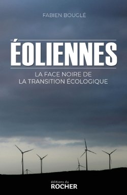 Eoliennes : la face noire de la transition écologique