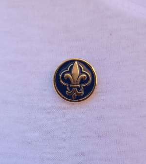 Pins lys AF-RN