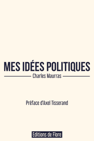 Mes idées politiques