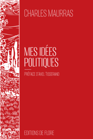 Mes idées politiques