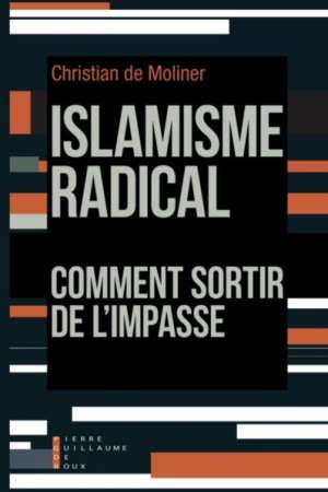 Islamisme radical comment sortir de l’impasse