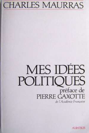 Mes idées politiques