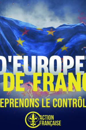 Moins d’europe, plus de France – 50 exemplaires