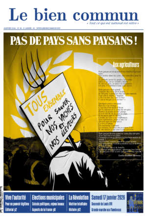 Bien commun n° 80